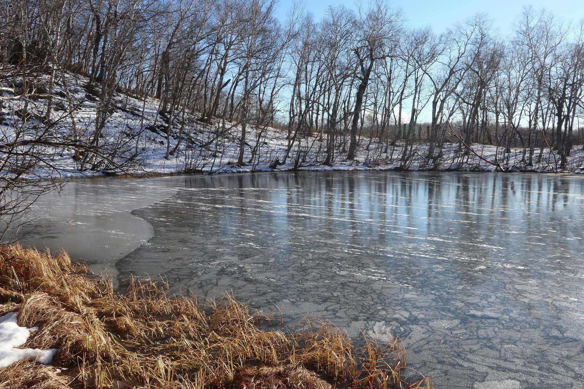Снежные вершины